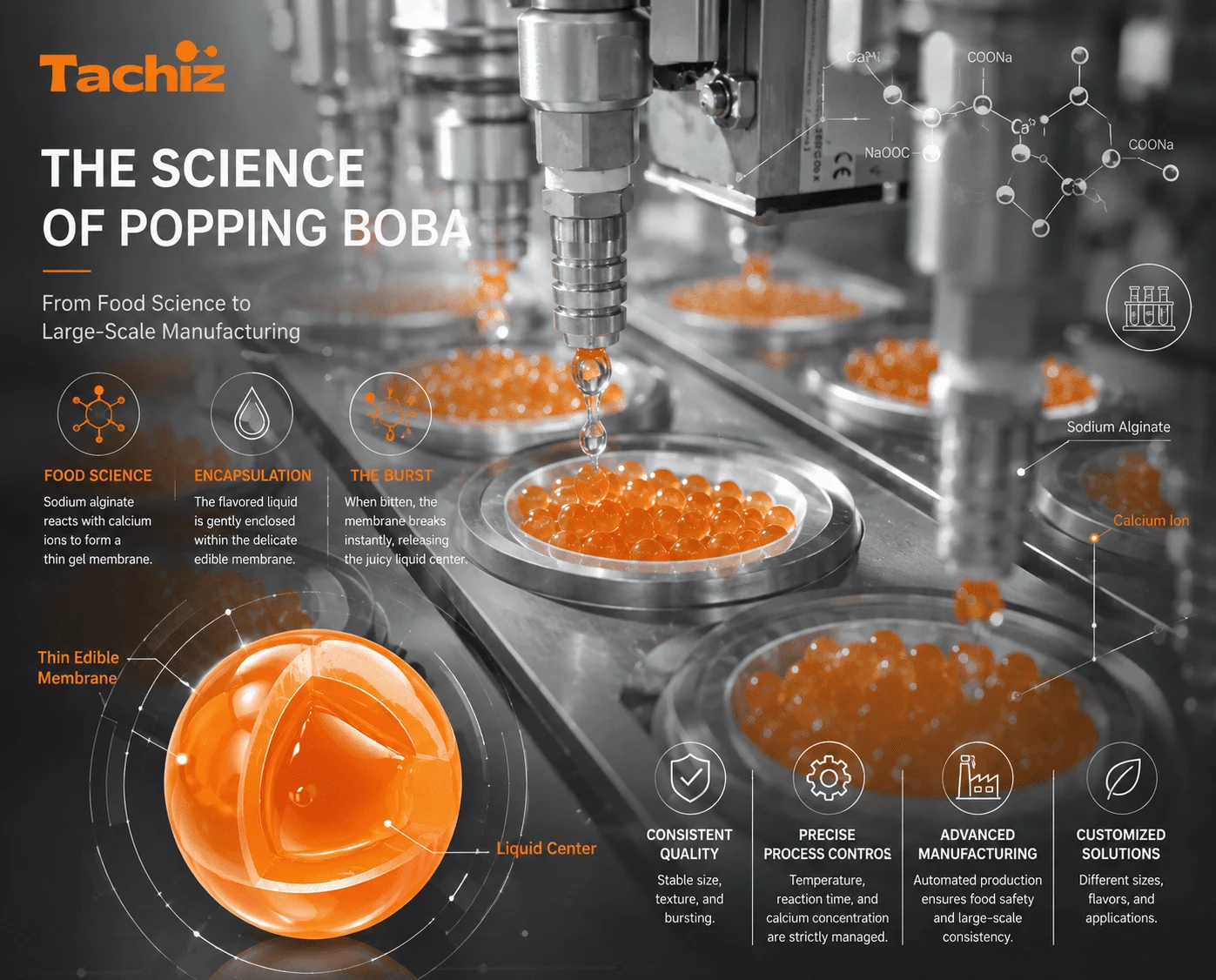 Commercial popping boba manufacturing line producing bursting pearls